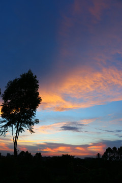 夕阳余晖