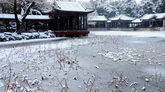 颐和园雪景