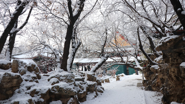 园林雪景