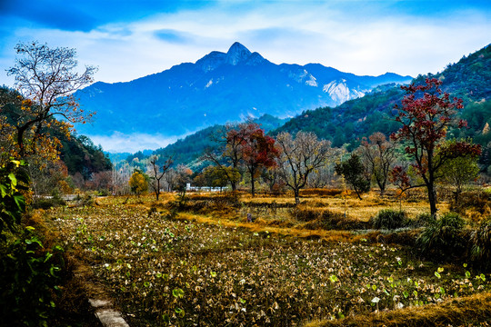 圣人堂大山