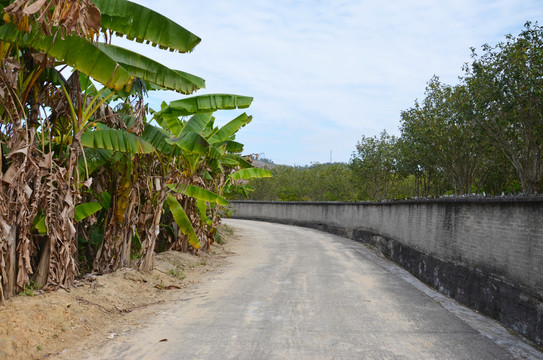 乡村道路