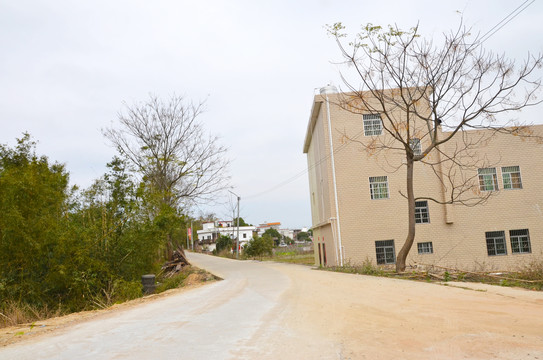 乡村道路