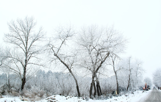 雪景