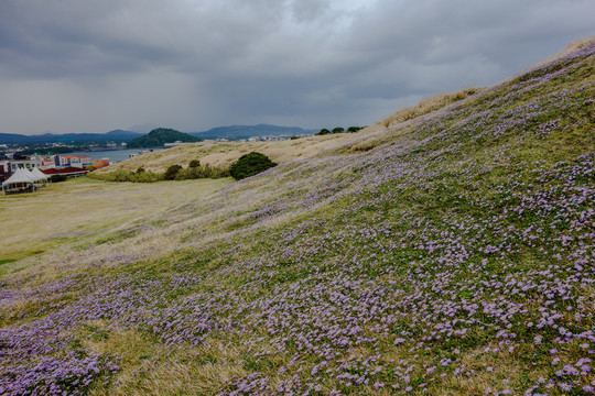 城山日出峰