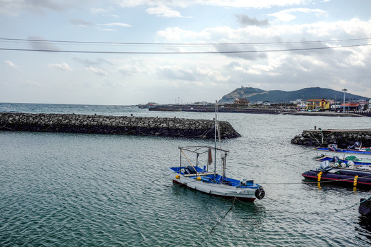 济州岛牛岛