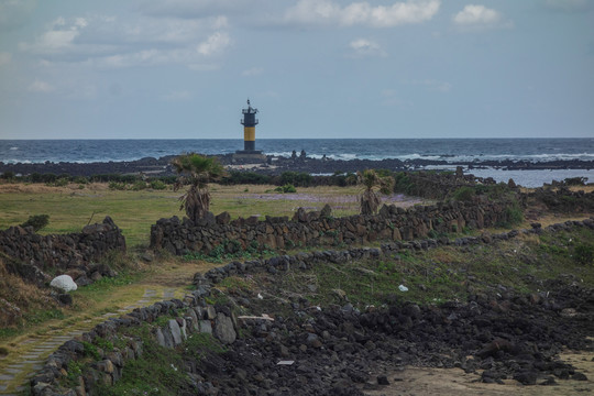 济州岛牛岛