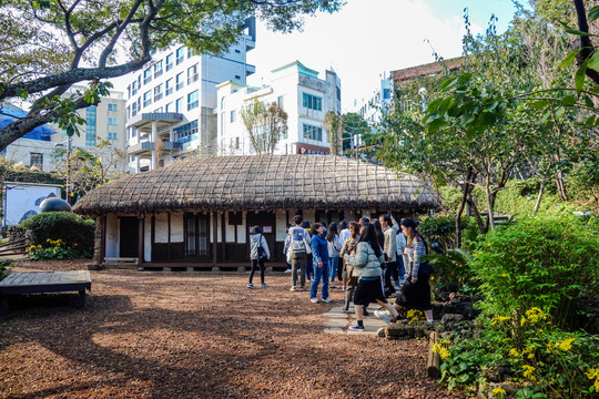 西归浦城市风光