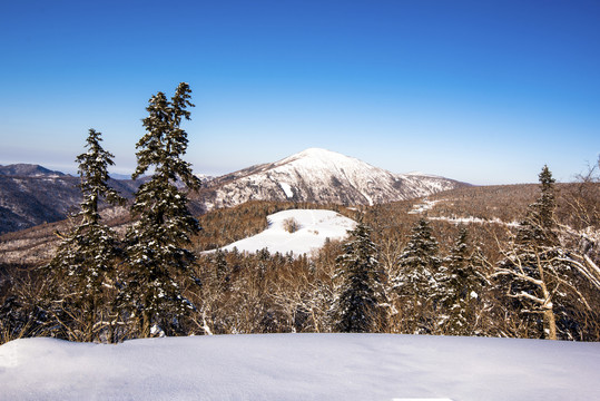 大秃顶雪山