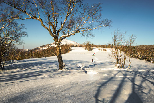 雪山雪景