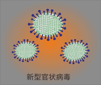 新型官状病毒的样子