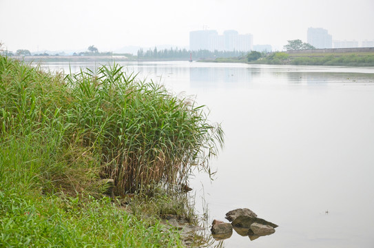 沙湾水道