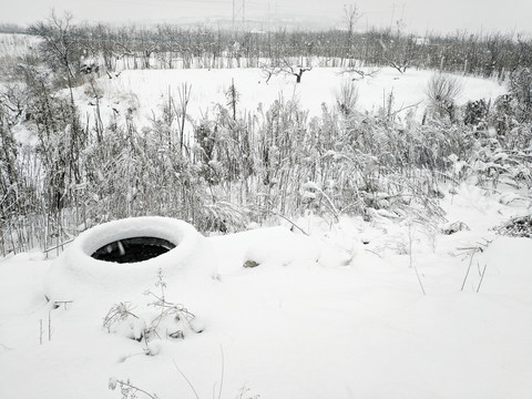 雪后景象