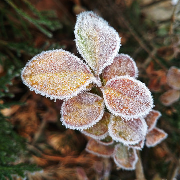 季节变化