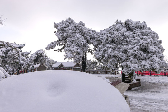 雪后鸡公山