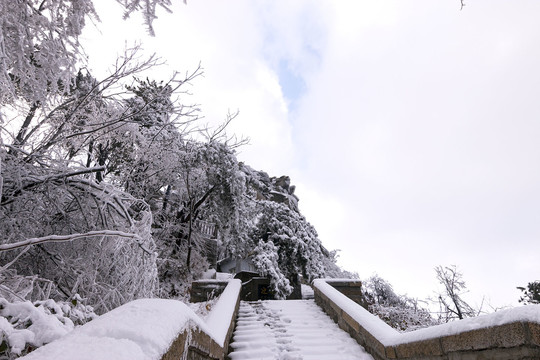 鸡公山登山道雪景