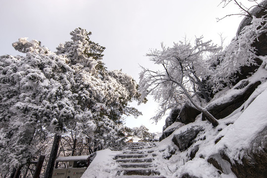 鸡公山登山古道雪景