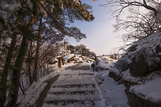 雪后鸡公山登山道夕阳