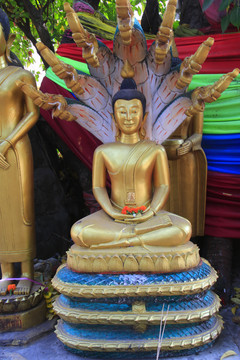 老挝西蒙寺佛像