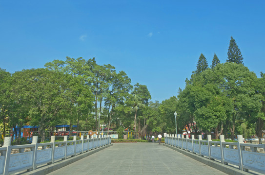 中山公园进园道路