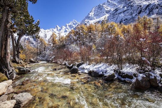 川西高原毕棚沟雪山风光