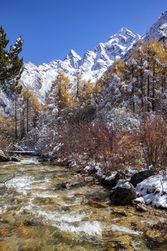 川西高原毕棚沟雪山风光