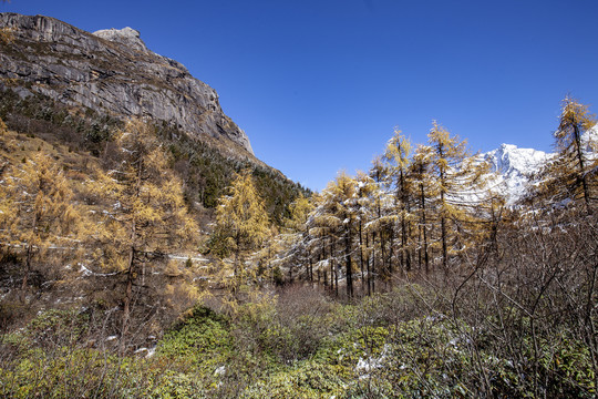 川西高原秋色