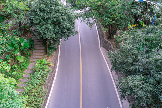 森林里的一条公路