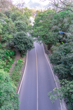 森林里的一条公路