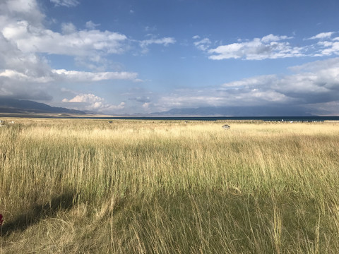 草地天空新疆赛里木湖摄影风光