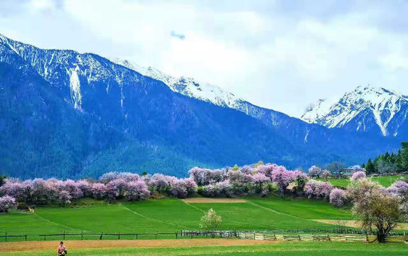 西藏林芝风景风光