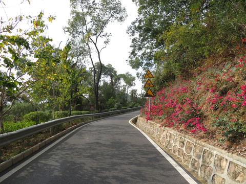 上山道路和指示牌