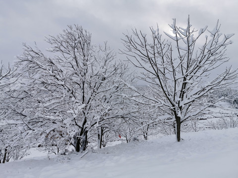 下雪天气