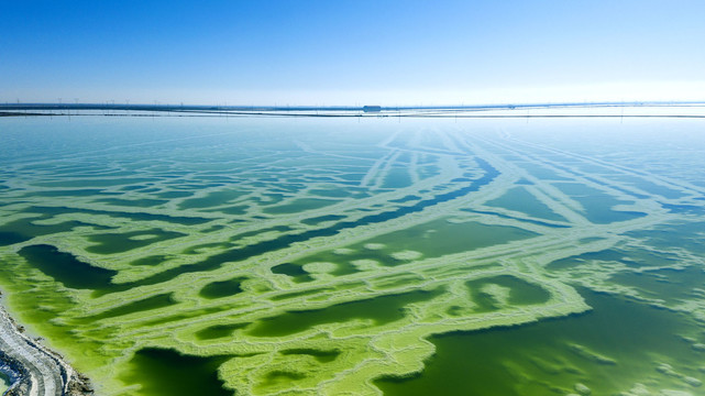 盐湖湖底迷宫