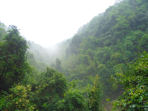 山野森林瀑布水流岩石