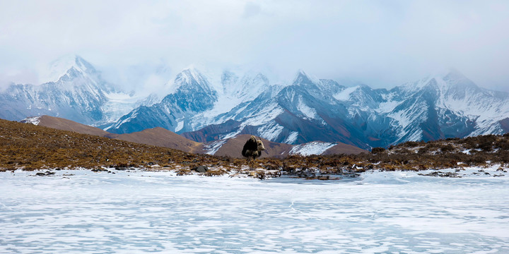 贡嘎雪山