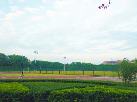 运动场绿化风景