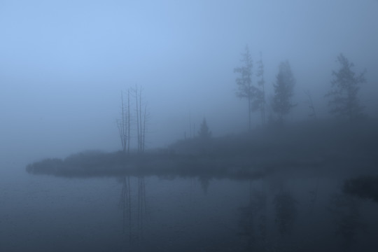 杜鹃湖晨雾