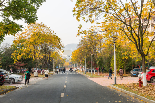 浙江农林大学