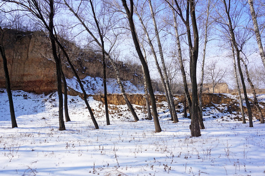 农村雪景