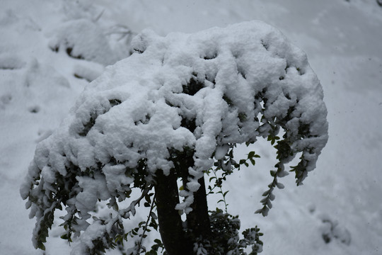 云南冰雪风光