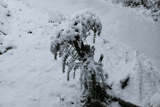 云南冰雪风光