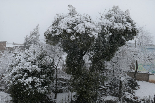 云南冰雪风光