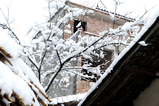 云南冰雪风光