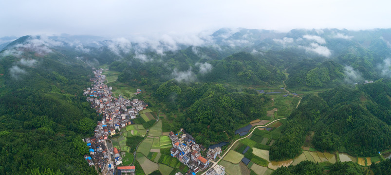 绿水青山