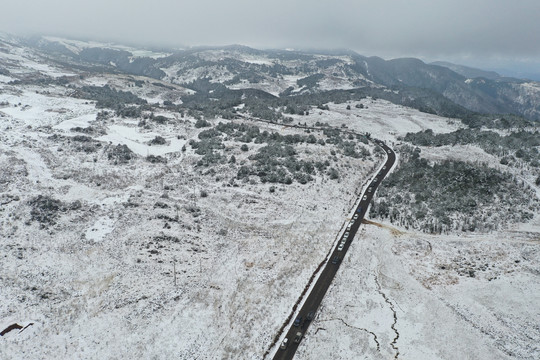 寻甸雪