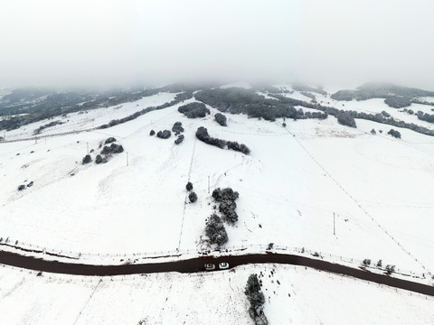 寻甸雪