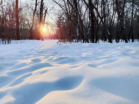 雪地夕阳落日冬至