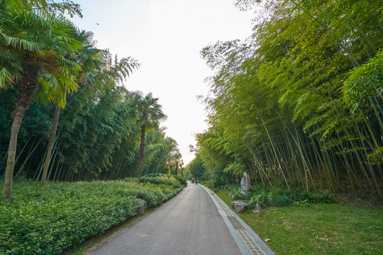 竹林路