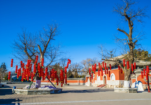 北京圆明园正觉寺