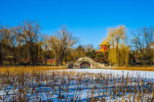 北京圆明园冬日风景